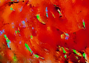 Background Abstract Leaves Seasons Orange Oranges